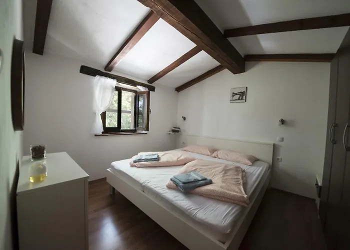 Tatil Evi Cosseriga